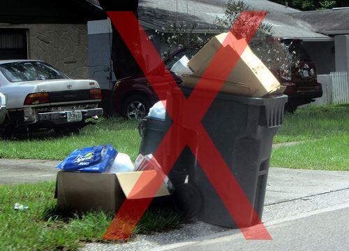 Image of Overflowing Trash Bins