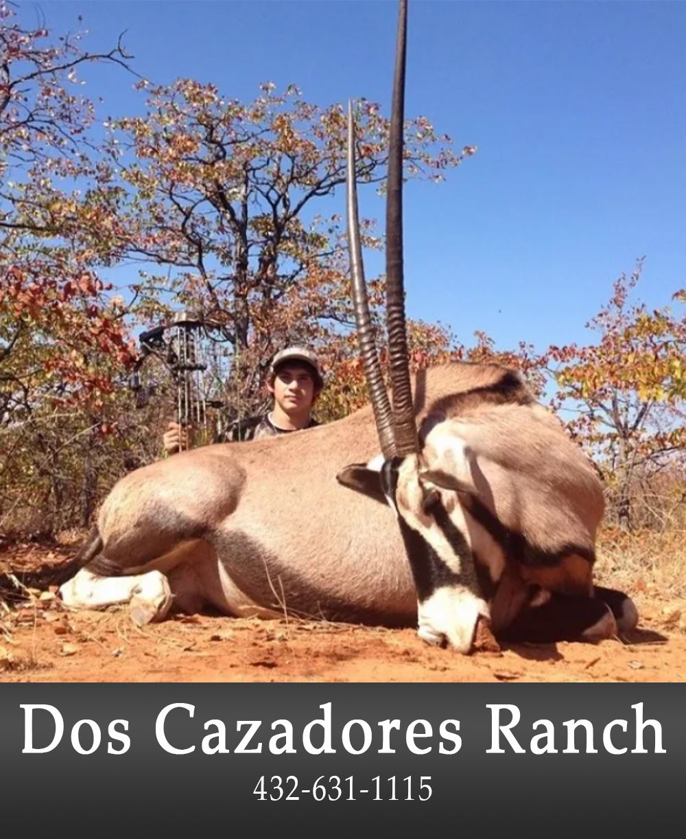 Image of Dos Cazadores add