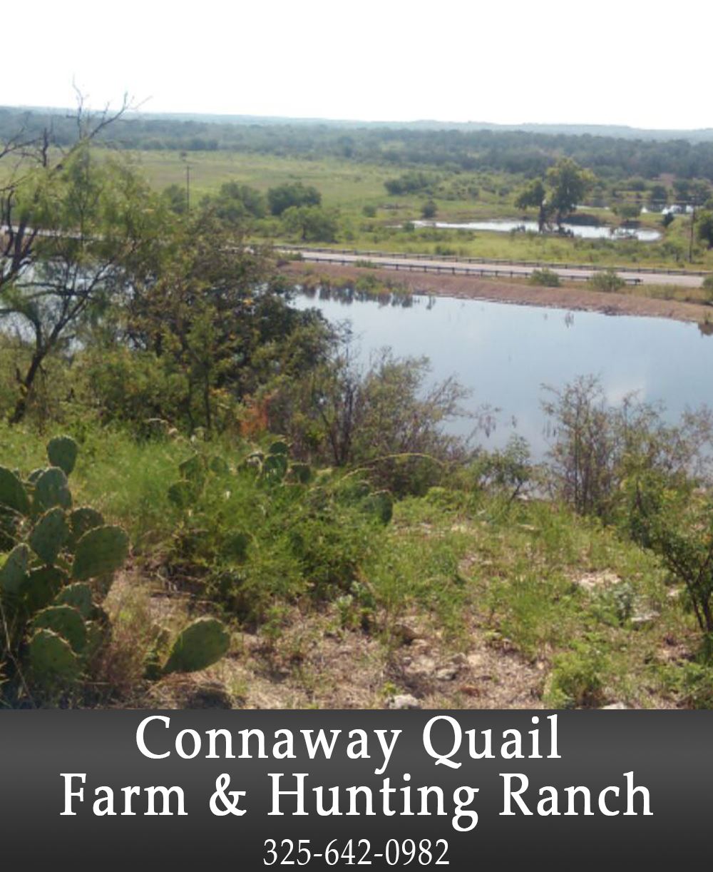 Image of Connaway Quail Farm and Hunting Ranch add 
