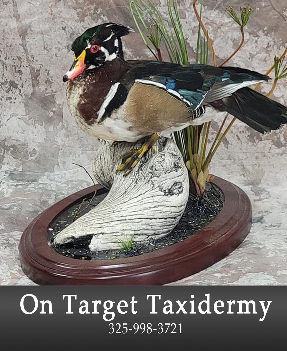 Image of On Target Taxidermy add