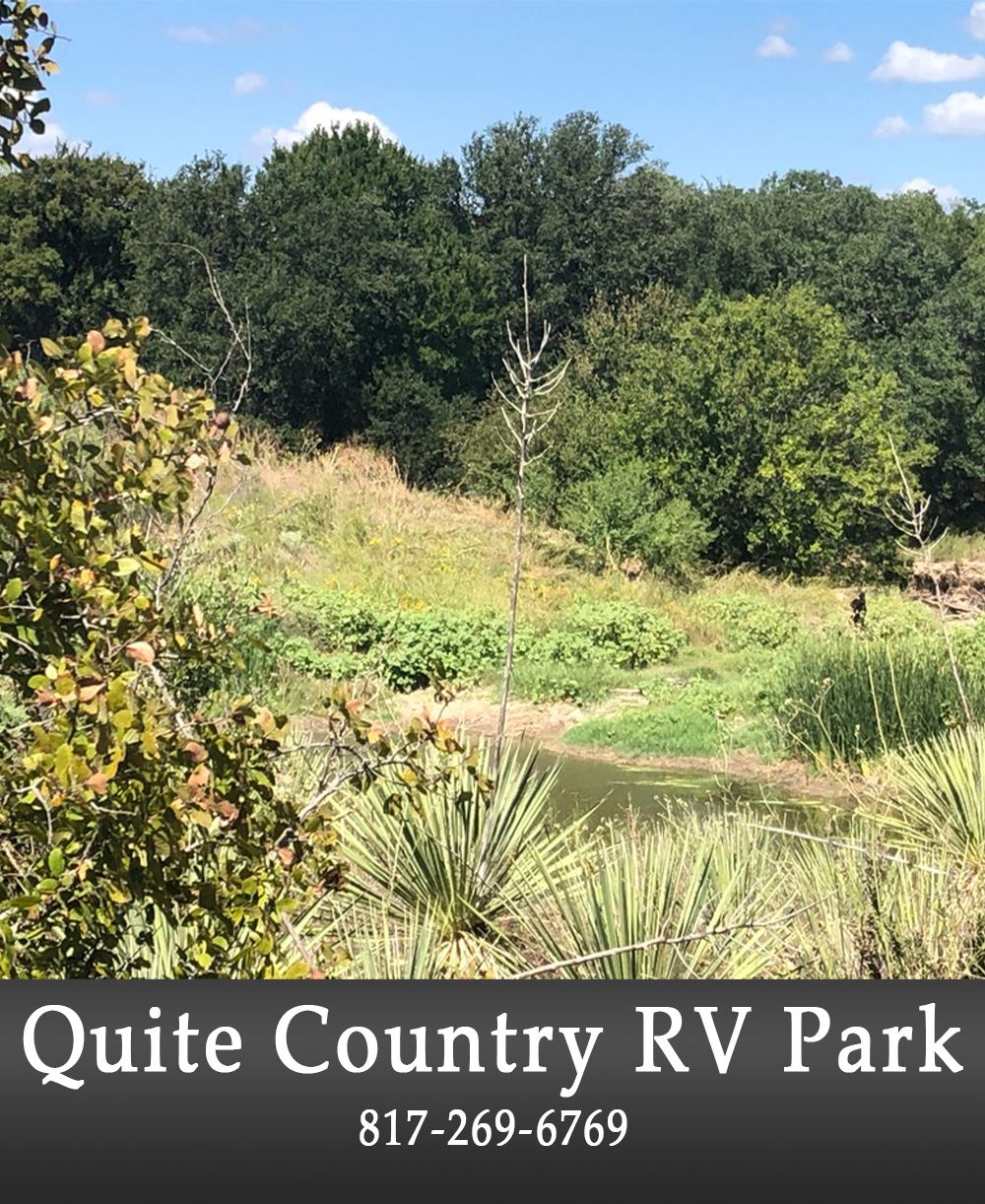 Image of an RV Park with Business Information Below #5