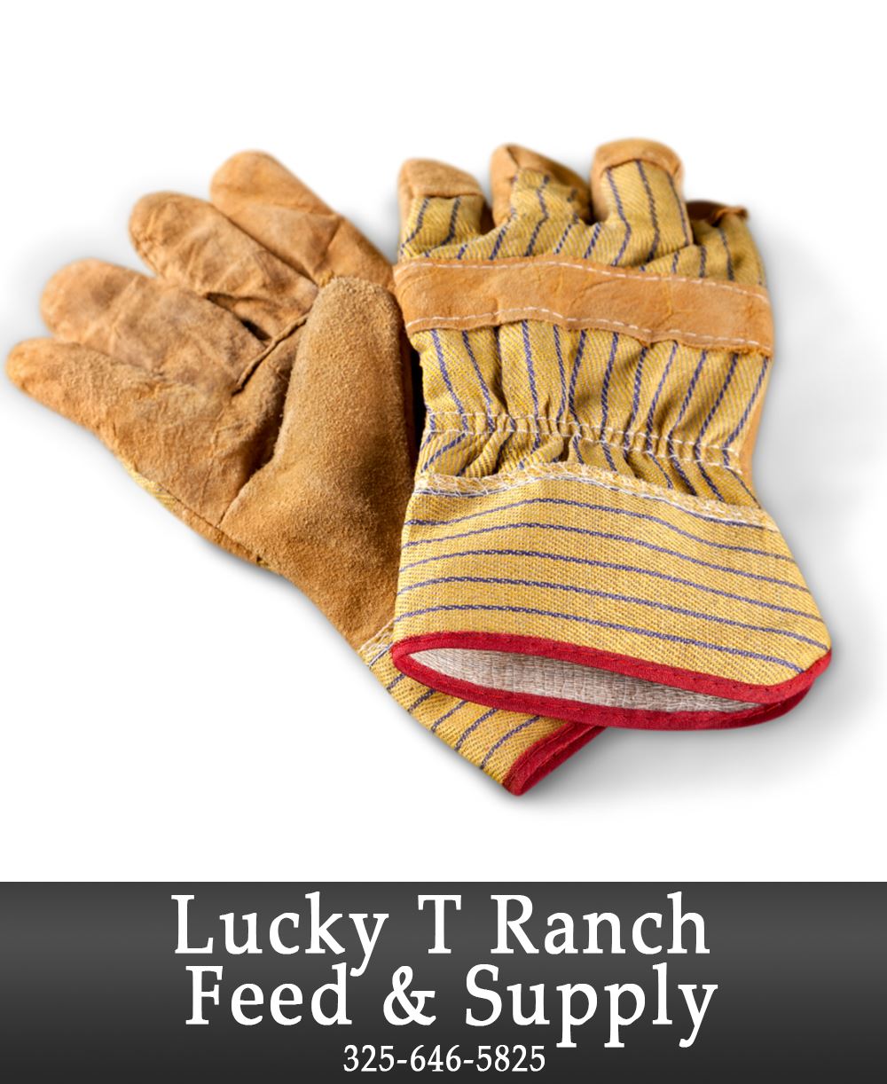 Image Lucky T Ranch and Feed Add.