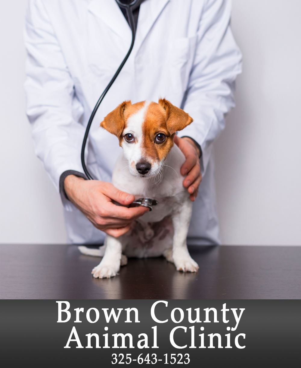 Image of Brown County Animal Clinic Add.