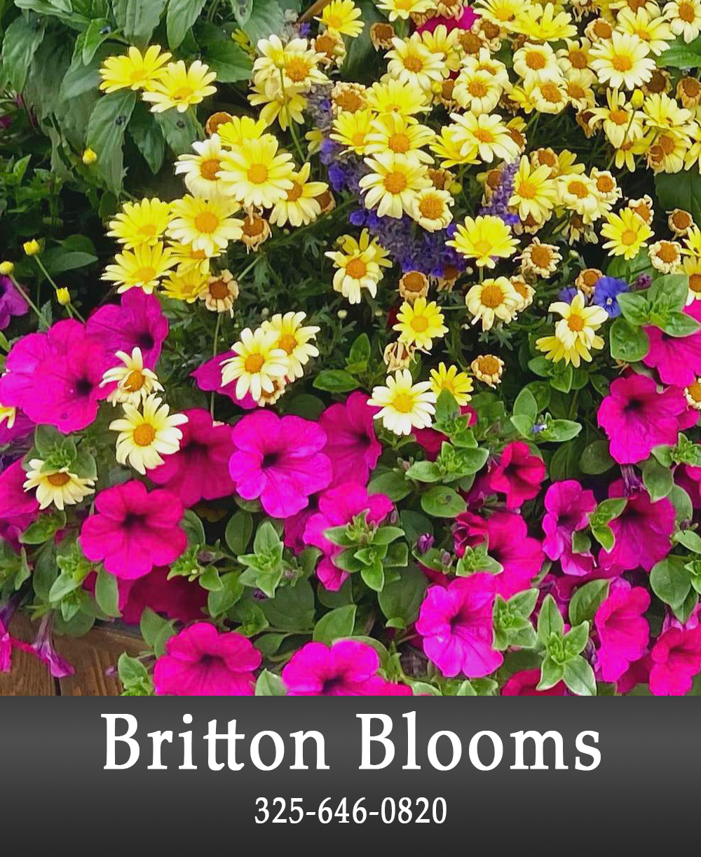 Image of Britton Blooms Add.