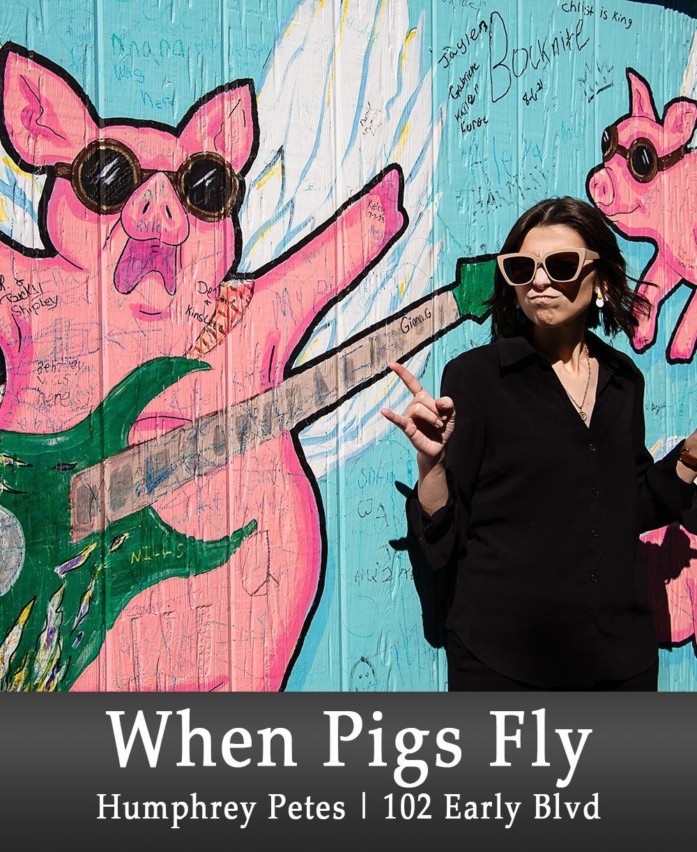 Image of When Pigs Fly Add