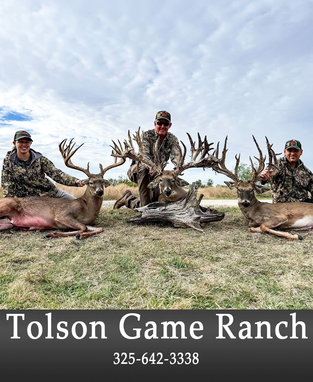 Image of Talson add.