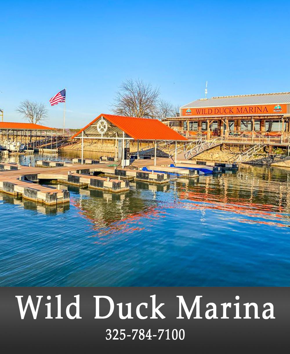 Image of Wild Duck add.