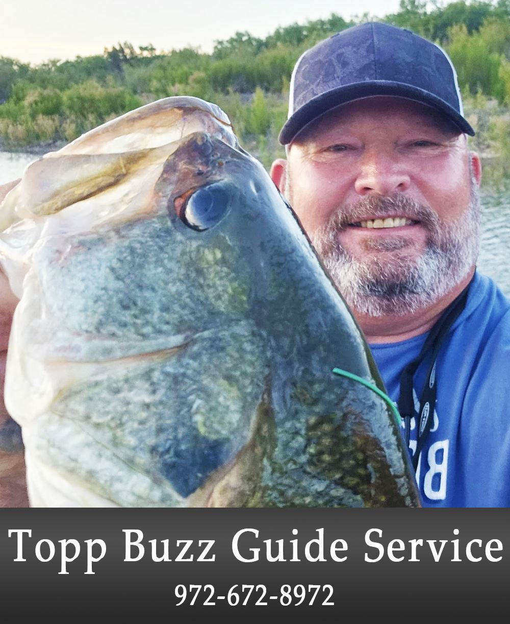 Image of a Fishing Business