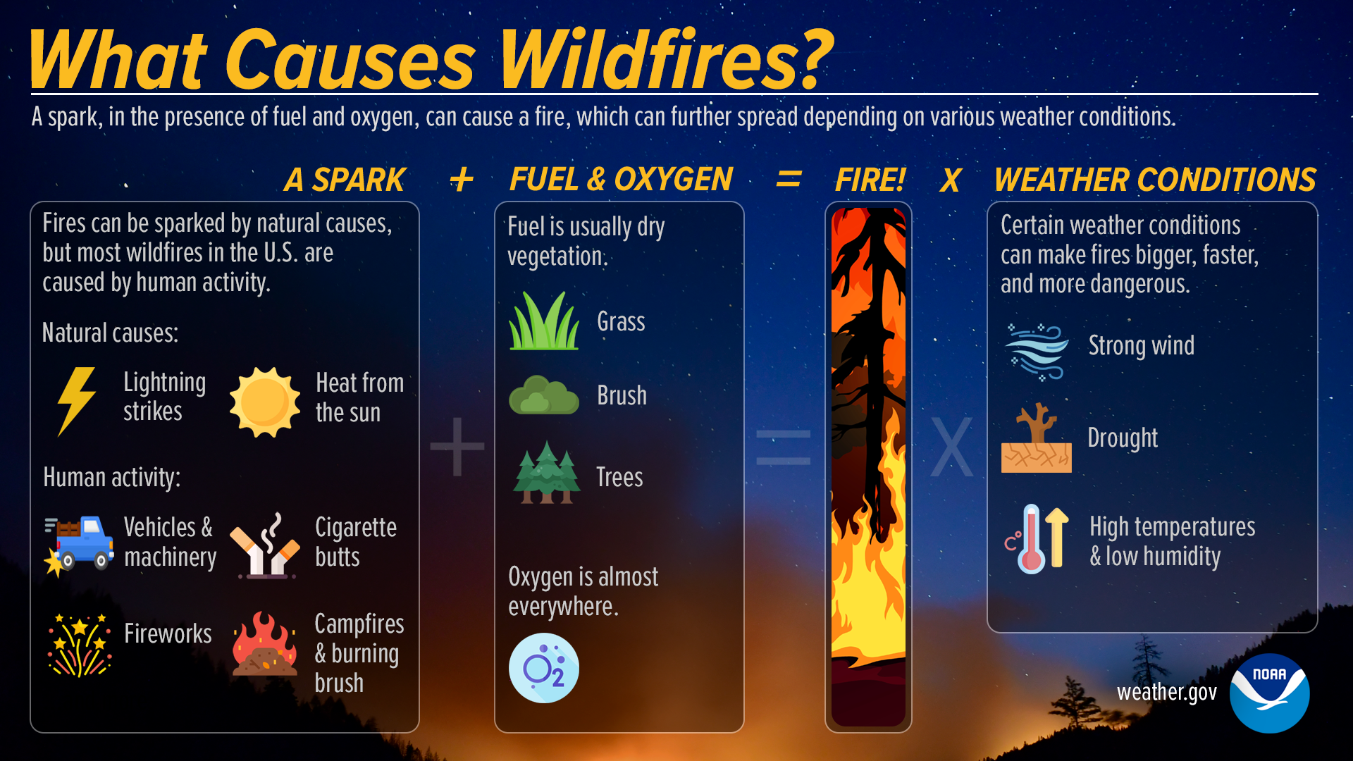 Image of a Wildfire Infographic