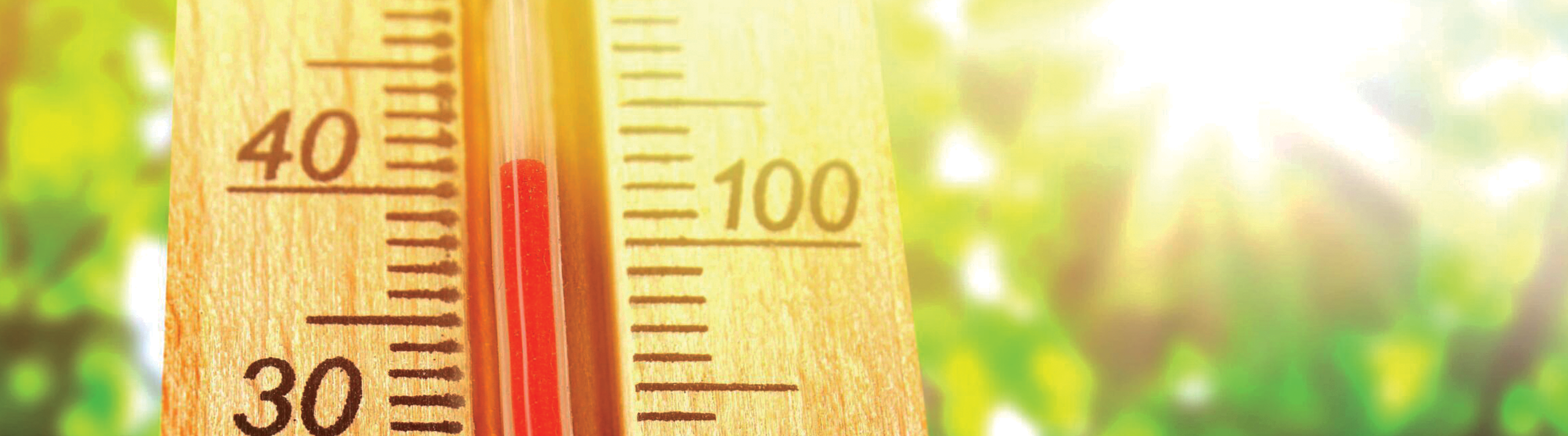 Image of a Thermometer Reading 100 in the Sun Banner