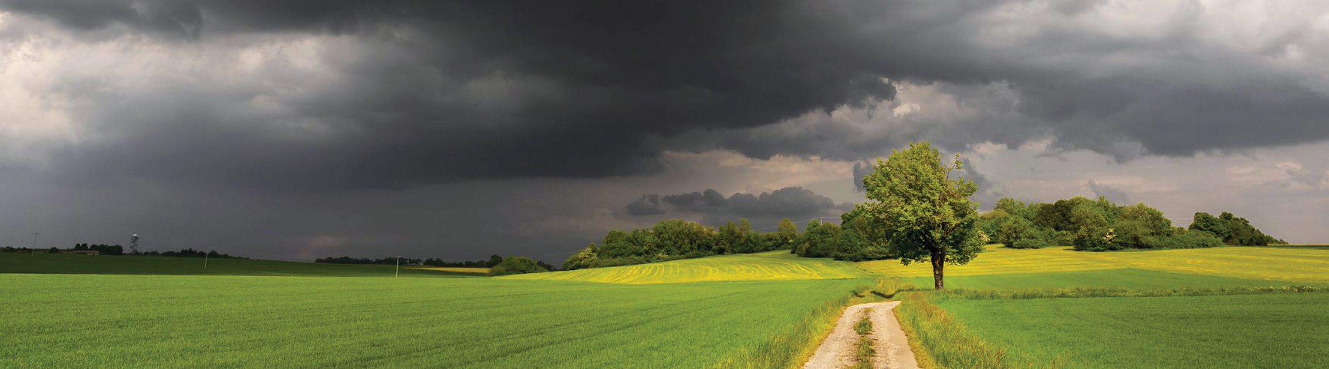 Image of a Thunderstorm Building Above a Field Banner