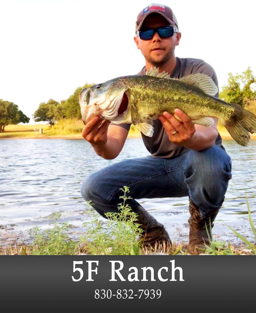 Image of a Fishing Business