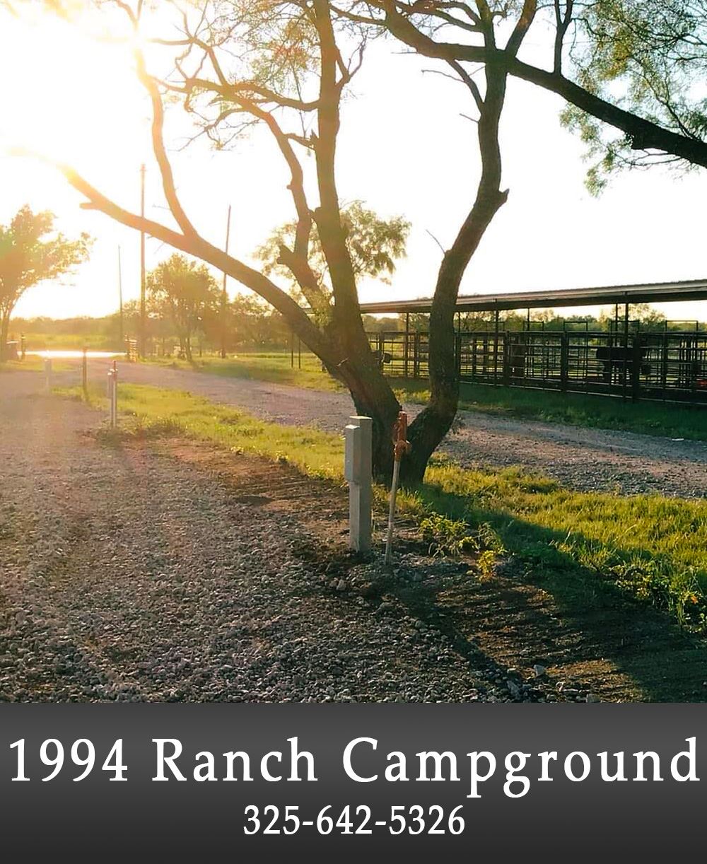 Image of an RV Business