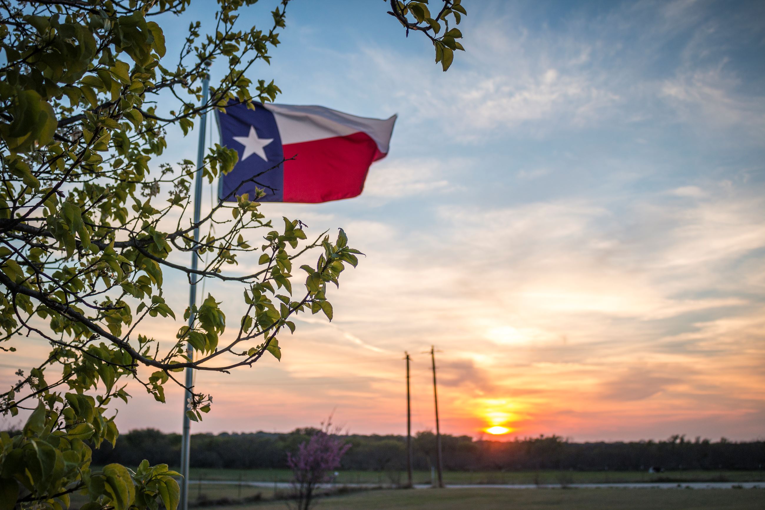 Texas Flag and Sunset
