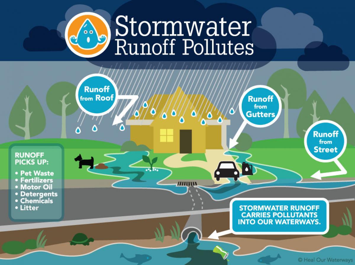 Image of a Stormwater Runoff Infographic